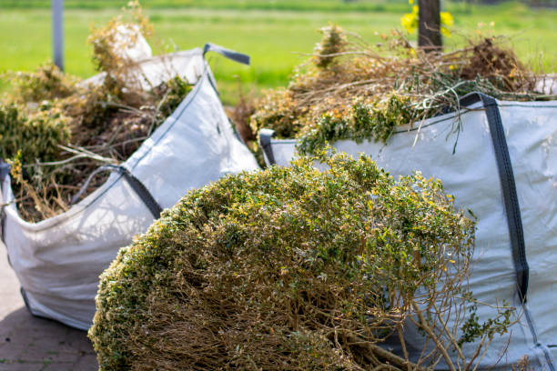 Best Carpet Removal and Disposal  in Kemmerer, WY